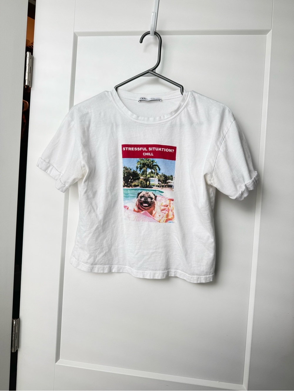 White Graphic Cropped Tee with Pug Pool Print